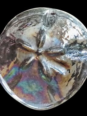 Art Glass Sand Dollar Iridescent Paperweight Vintage Coastal Beach‎ House Ocean